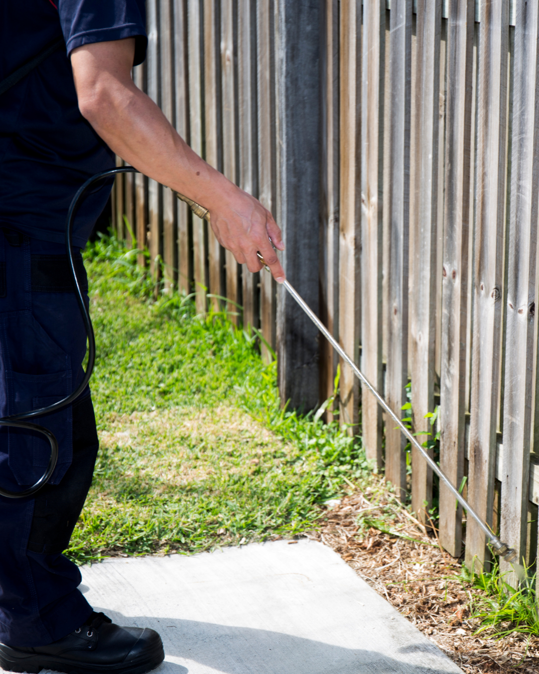 Marketing for Pest Control Companies